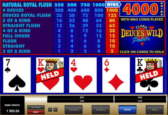 Go wild casino flash version game