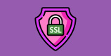 Ein pinkes Schutzschild, davor ein grünes Vorhängeschloss mit der Aufschrift ,,SSL''.
