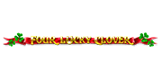 Four Lucky Clover - Spielautomaten