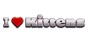 I Love Kittens Slot - Spielautomaten