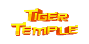 Tiger Temple - Spielautomaten