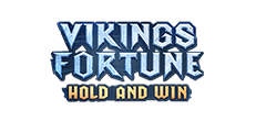 Vikings Fortune: Hold and Win - Spielautomaten