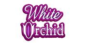 White Orchid - Spielautomaten