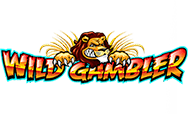 Wild Gambler - Spielautomaten