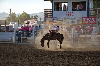 Ein Rodeo-Cowboy auf einem Pferd.