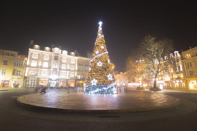 Beleuchteter Weihnachtsbaum.