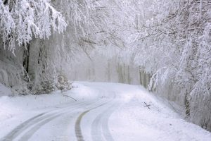 Aufnahme einer vereisten Straße in einem eingeschneiten Wald.