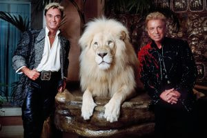 Foto der Magier Siegfried und Roy mit einem weißen Löwen 