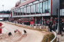 Greyhounds auf bei einem Rennen auf dem Crayford Greyhound Track