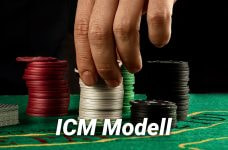 Das Independent-Chip-Model (ICM).