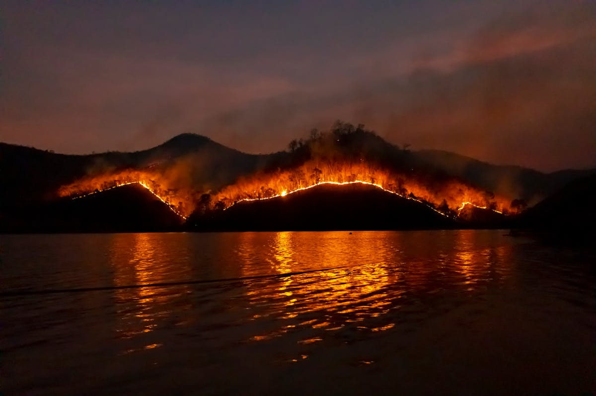 Waldbrand vom Wasser aus fotografiert.