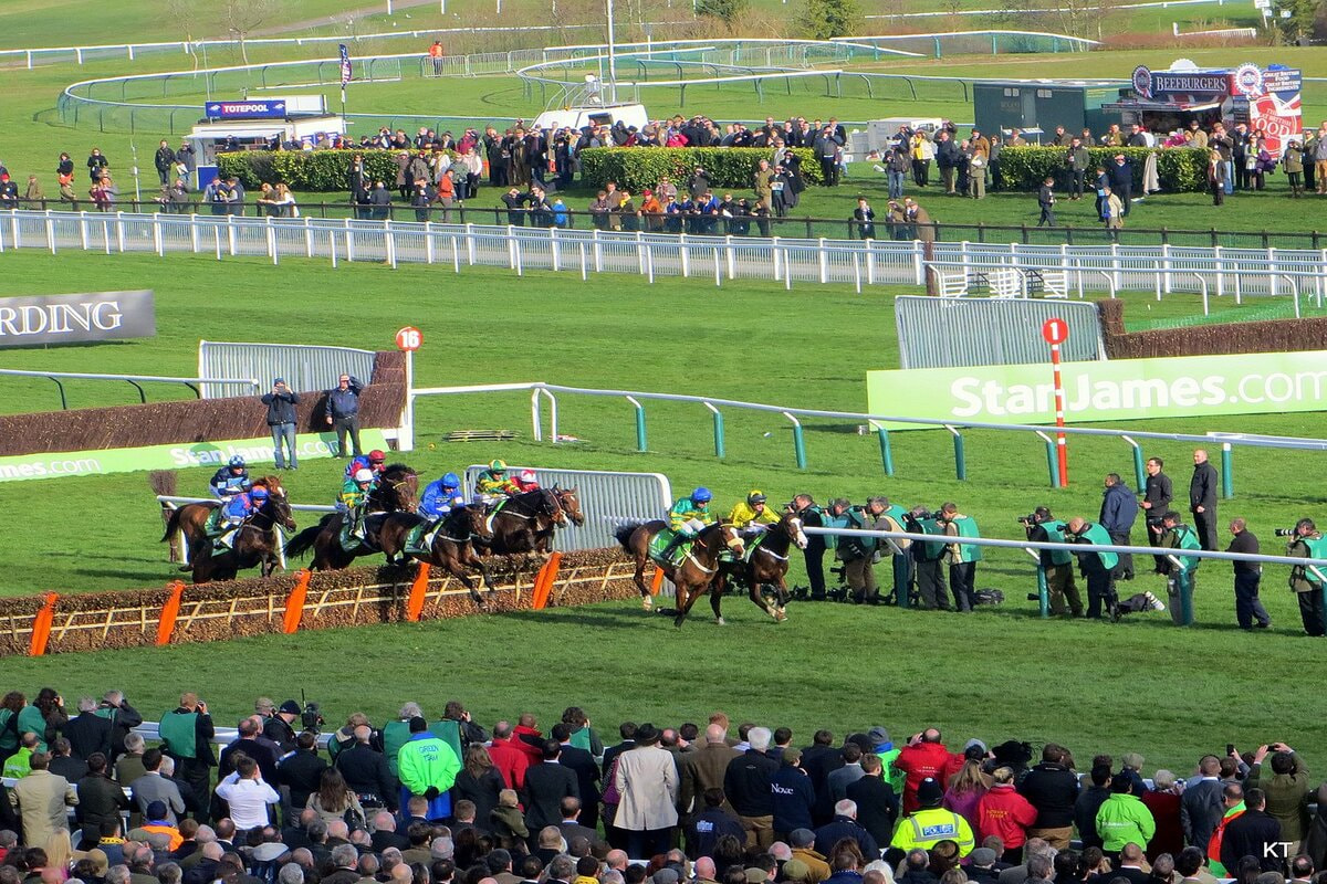 Rennbahn auf dem Cheltenham Racecourse